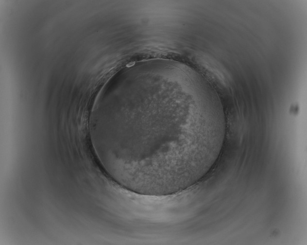 X0000091550034200708171314