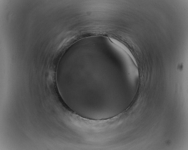 X0000091550035200708171314