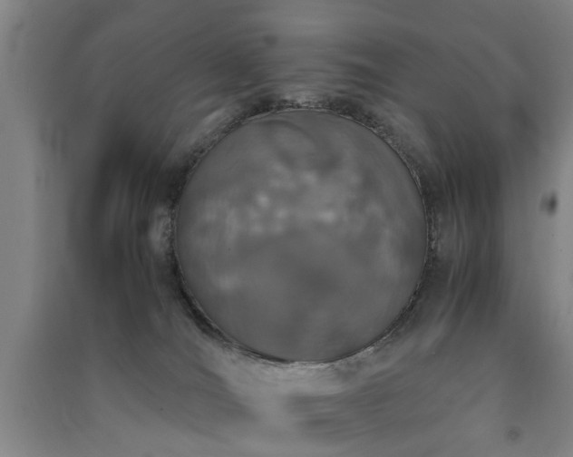 X0000091550036200708171314