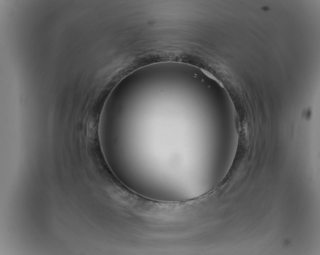 X0000091550037200708171314