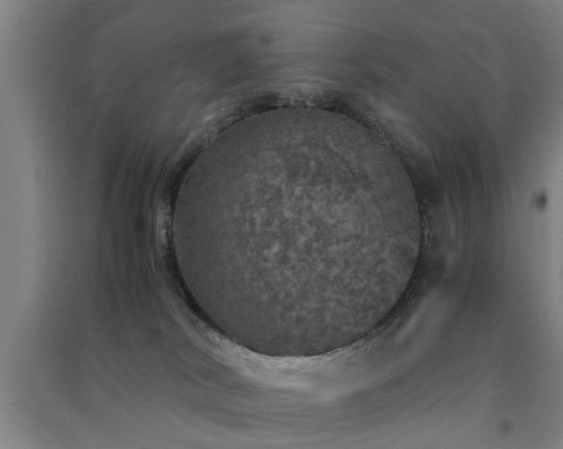 X0000091550038200708171314
