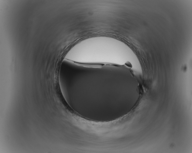 X0000091550039200708171314