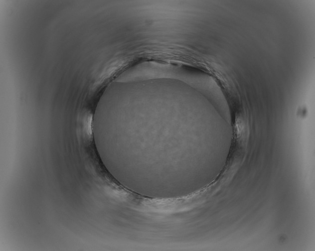 X0000091550041200708171314