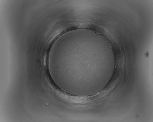 X0000091550044200708171314