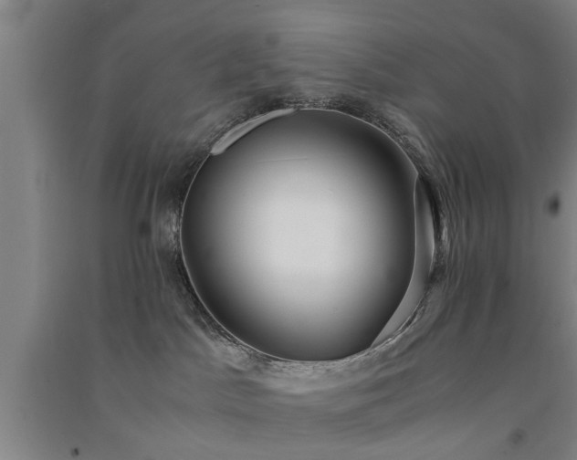 X0000091550045200708171314