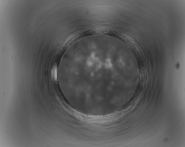 X0000091550046200708171314