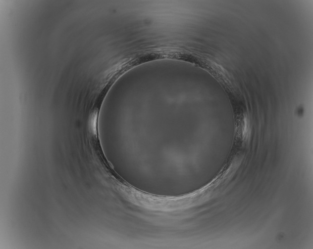 X0000091550047200708171314