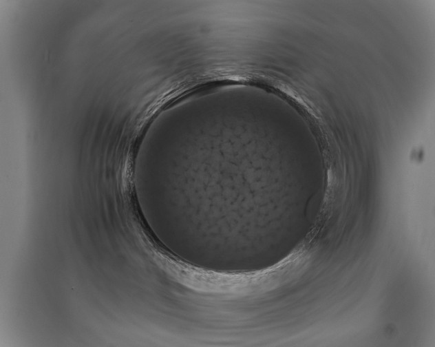 X0000091550048200708171314