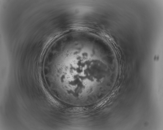 X0000091550049200708171313