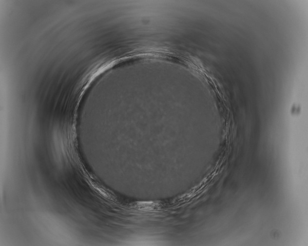 X0000091550050200708171313