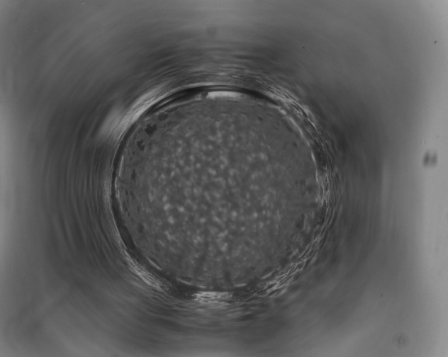 X0000091550051200708171313