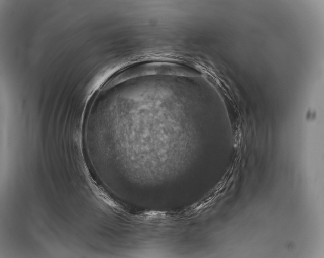 X0000091550052200708171313
