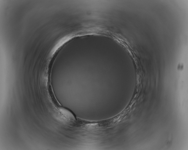 X0000091550054200708171313