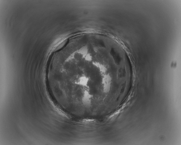 X0000091550055200708171313