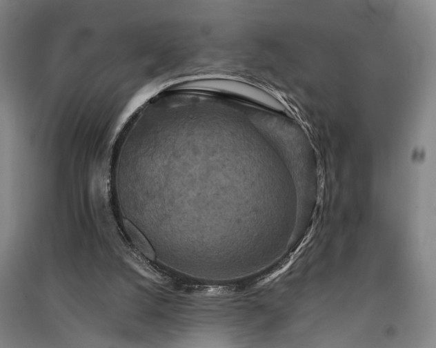 X0000091550056200708171313