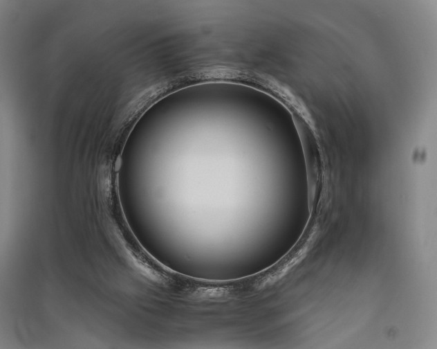 X0000091550057200708171313