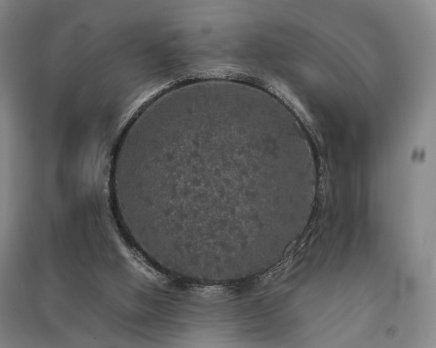 X0000091550058200708171313