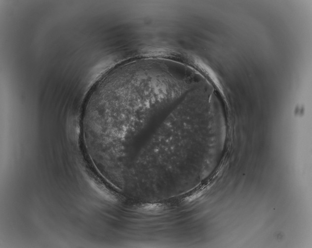 X0000091550059200708171314