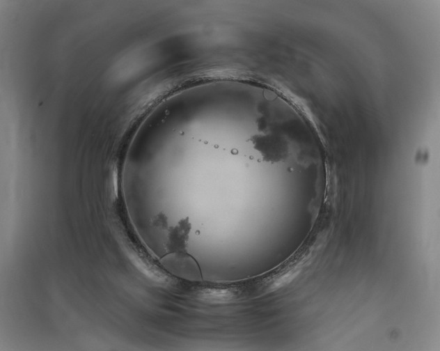 X0000091550061200708171314