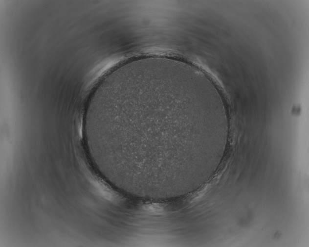 X0000091550062200708171314