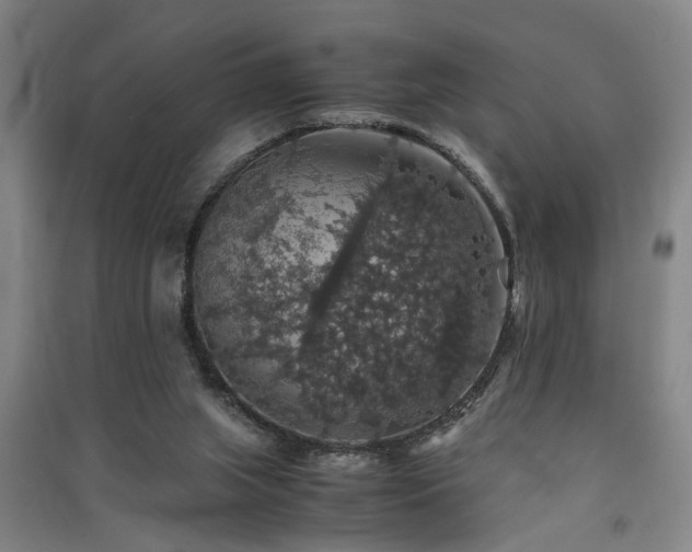 X0000091550063200708171314