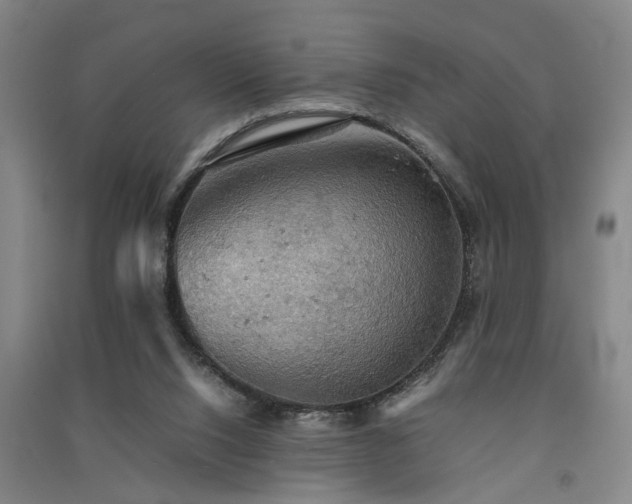 X0000091550064200708171314