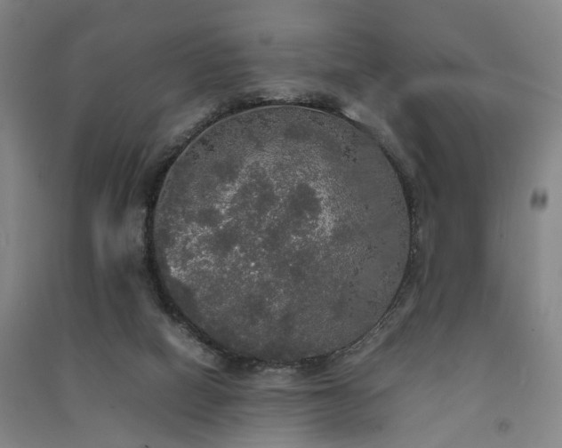 X0000091550066200708171314