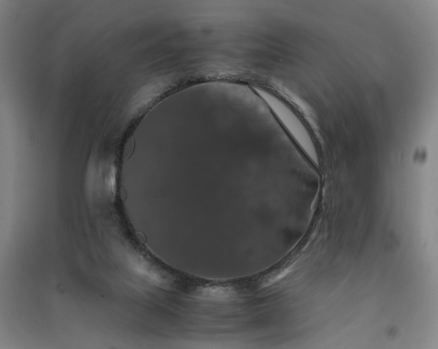 X0000091550067200708171314
