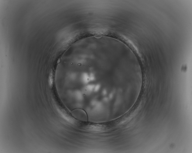 X0000091550069200708171314