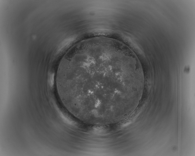 X0000091550070200708171314