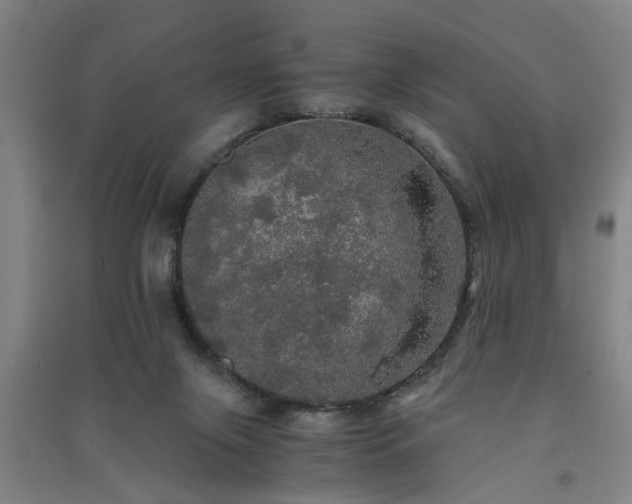 X0000091550071200708171314