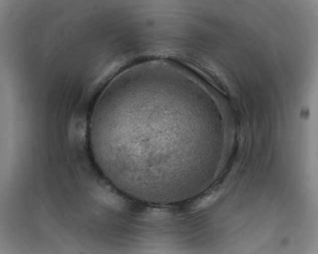 X0000091550072200708171314