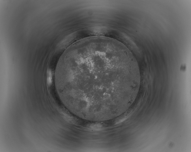X0000091550075200708171314