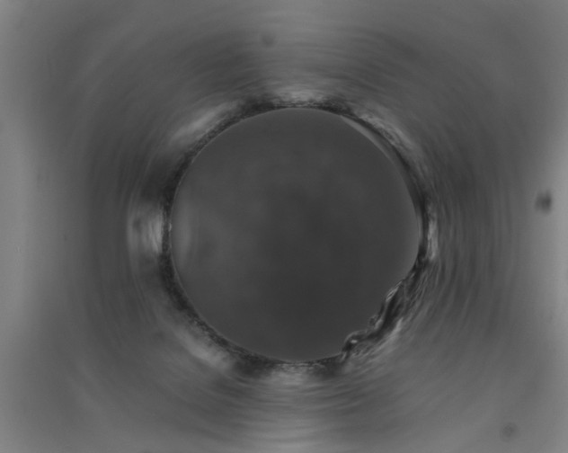 X0000091550076200708171314