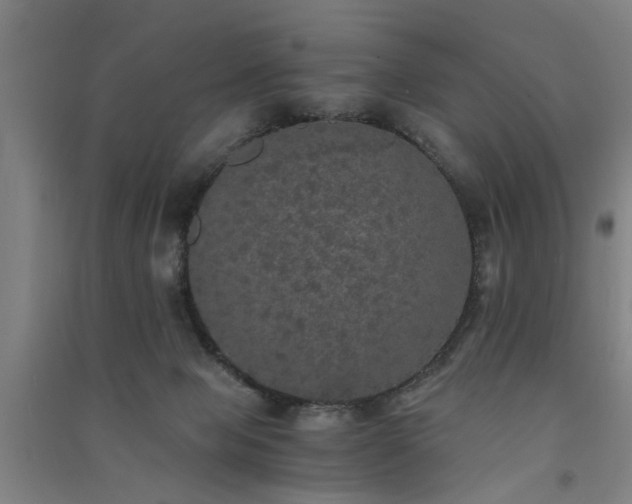 X0000091550077200708171314