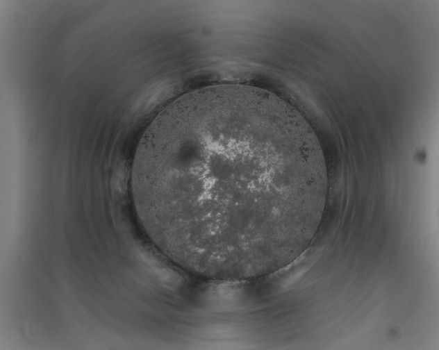X0000091550078200708171314