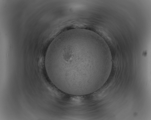 X0000091550079200708171314