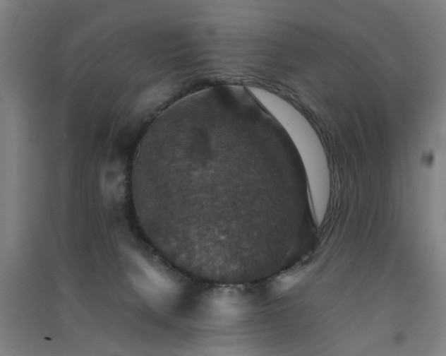 X0000091550080200708171314