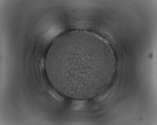 X0000091550081200708171314