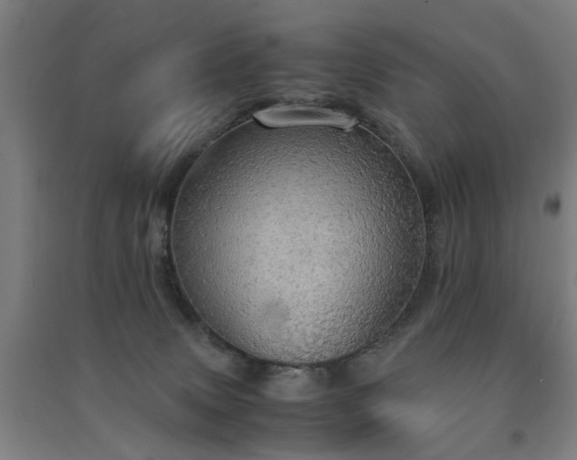 X0000091550083200708171314