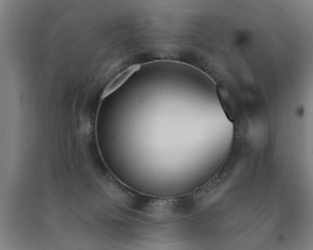 X0000091550084200708171314
