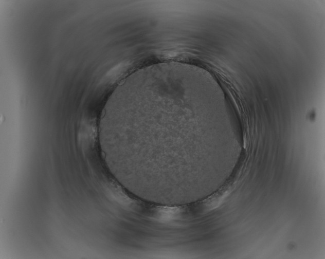 X0000091550085200708171314
