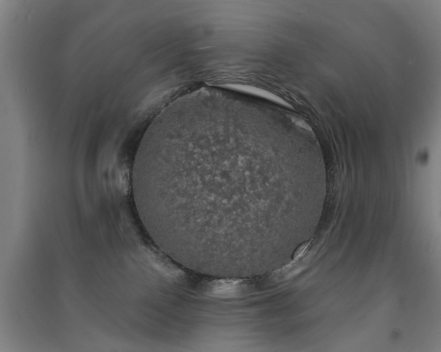 X0000091550090200708171314