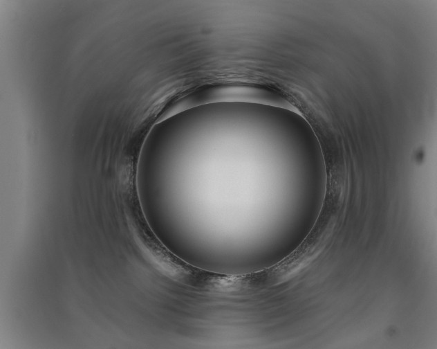 X0000091550092200708171314