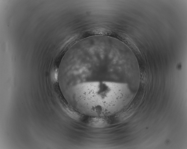 X0000091550095200708171314