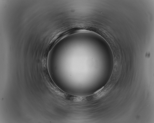 X0000091550096200708171314