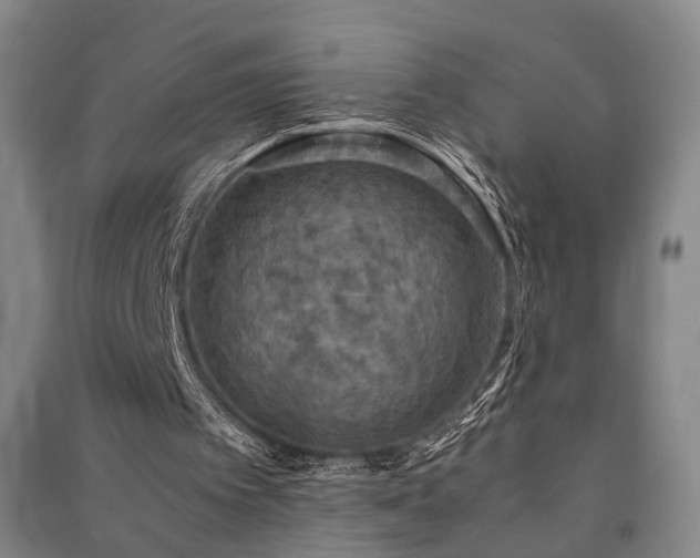 X0000091550097200708171313