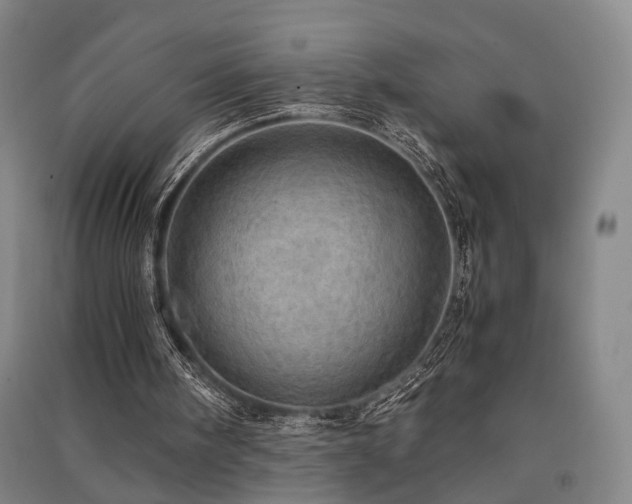 X0000091550098200708171313
