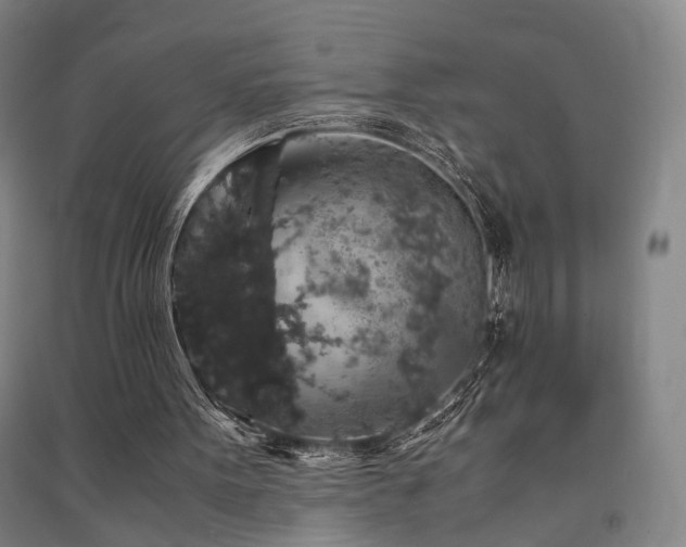 X0000091550099200708171313