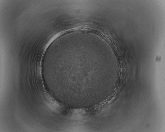 X0000091550100200708171313